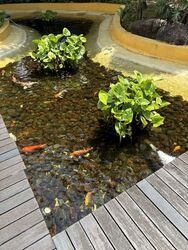 Bliss@Kovan (D19), Condominium #553319171